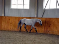 DSCN6036.webp