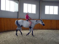 DSCN6042.webp