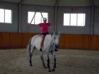 DSCN6043.webp