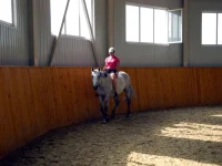 DSCN6049.webp