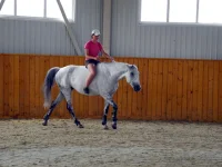 DSCN6051.webp