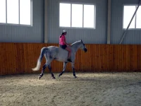DSCN6054.webp