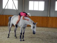DSCN6061.webp