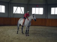 DSCN6062.webp