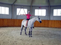 DSCN6063.webp