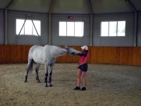 DSCN6065.webp
