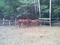11082013189.webp