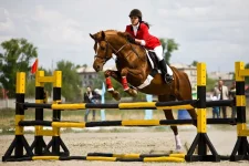 0_696c0_dae33291_XXL.webp