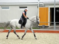 DSCN6125.webp