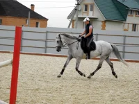 DSCN6147.webp