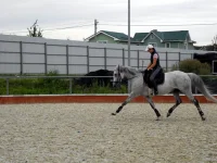 DSCN6153.webp