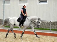 DSCN6158.webp