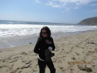 beach.webp