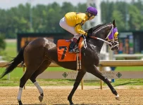 race horse.webp