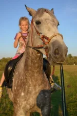 6yiE1xb86kw.webp