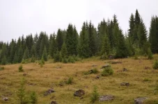 DO_Ag99B91w.webp