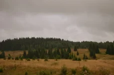 XqHc4naJwfw.webp