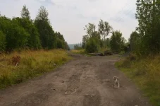 tENBLIjy790.webp
