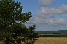 QDgKSoZ_P20.webp