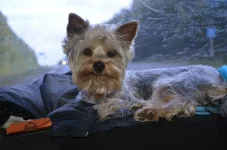 EKko8IQrNy8.webp