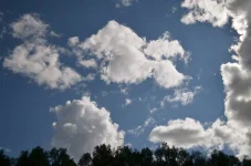 QFjUXKWRcTM.webp