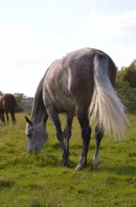JDKHiKI_I5w.webp