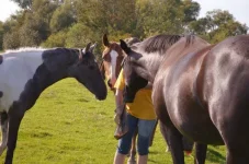 Z9UL-knAhNY.webp
