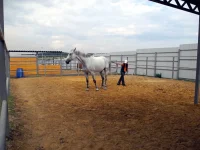 DSCN6232.webp