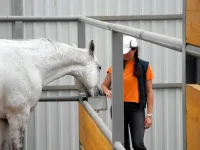 DSCN6235.webp