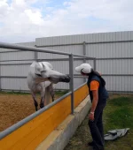 DSCN6240.webp
