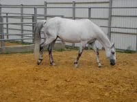 DSCN6244.webp