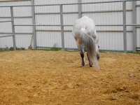 DSCN6245.webp