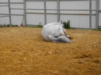 DSCN6246.webp