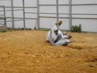 DSCN6248.webp