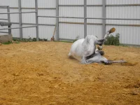 DSCN6249.webp