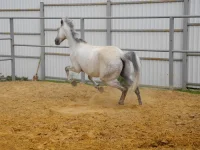 DSCN6252.webp