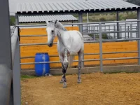 DSCN6256.webp
