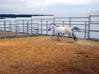 DSCN6260.webp