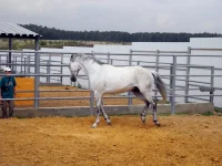 DSCN6261.webp