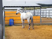 DSCN6262.webp