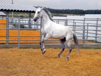 DSCN6266.webp
