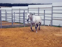 DSCN6268.webp