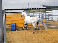 DSCN6270.webp