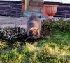 20200801_134136.jpg