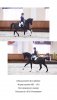 2FF00776-DD28-42B7-A9A6-4C34471E9CD1.jpeg