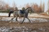 IMG-20191201-WA0004.jpg