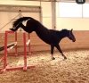 20201006_213145.jpg