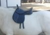 IMG_20201013_121746.jpg