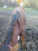 IMG-20201015-WA0007.jpg