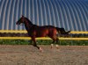 IMG_20190728_201613__01.jpg